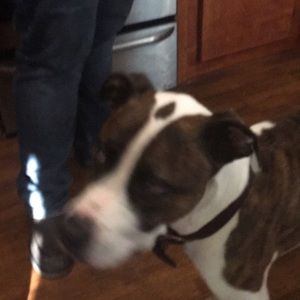 Meet your Posher, Bryce